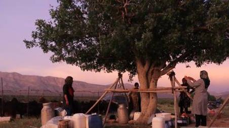 L'organisation des nomades