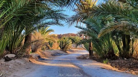 Oasis de Garmeh