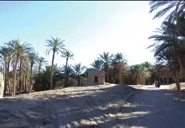 Palmeraie et petit édifice en terre crue à Deh Salm, oasis du désert du Lut